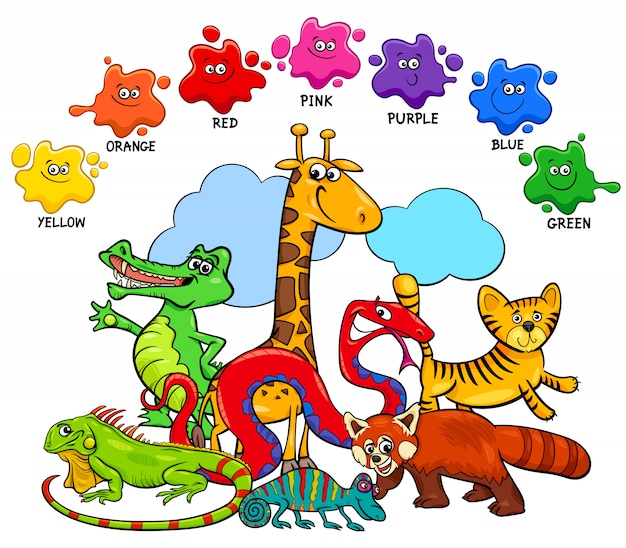 Basic Colors Set Educational Page for Children