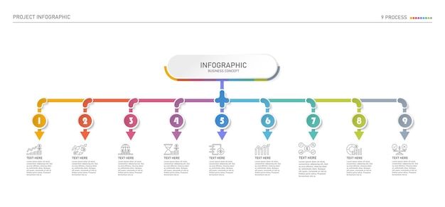 Basic infographic template with 9 steps process or options process