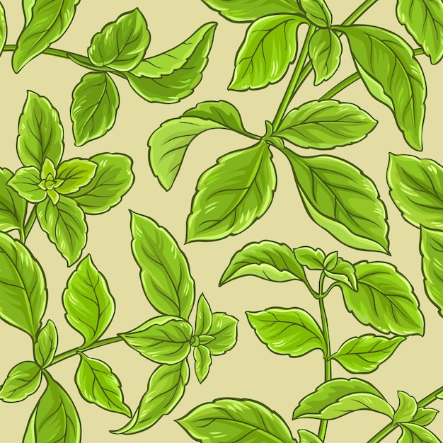 Basil vector pattern