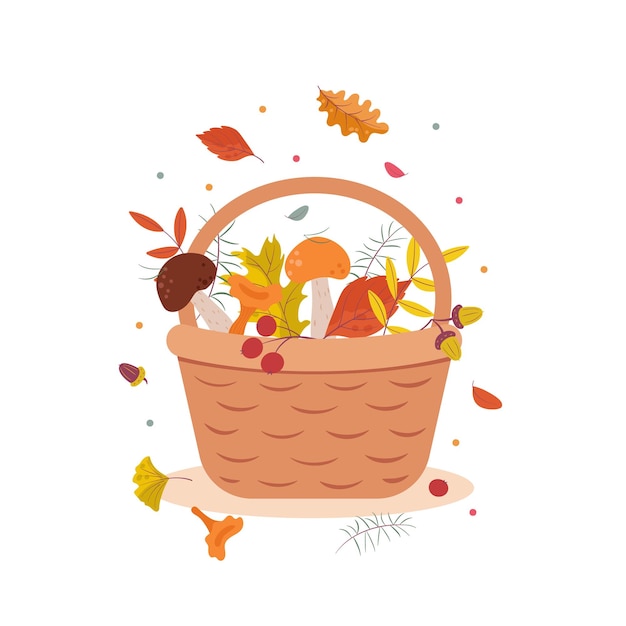 Basket with autumn leaves berries mushrooms acorns oak leaves Leaf fall Autumn season 