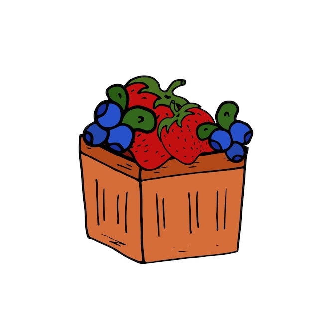 Basket with Strawberry and Blueberry Isolated doodle vector Concept summer berries healthy food