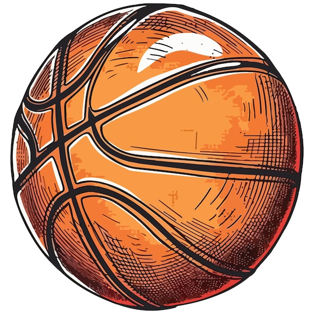 basketball sport ball vector