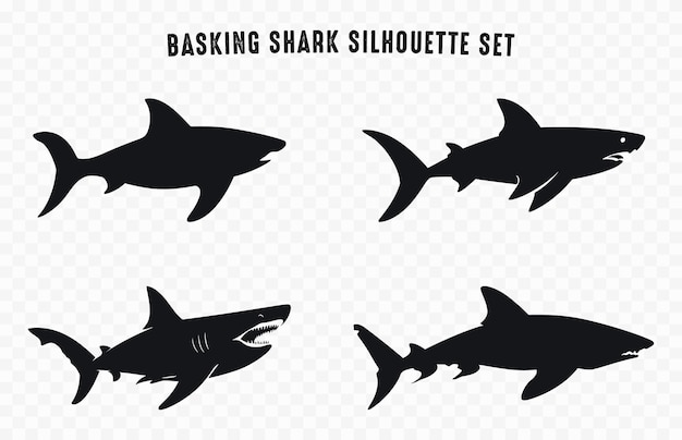 Vector basking shark silhouette vector bundle set of various shark silhouettes clipart