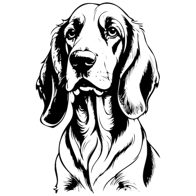 Basset Fauve de Bretagne portrait silhouette of hand drawn animal illustration transparent background