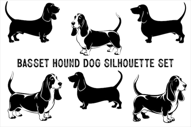 Vector basset hound dog silhouette vector isolated basset hound dog set basset hound vector illustration