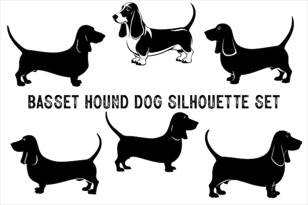 Vector basset hound dog silhouette vector isolated basset hound dog set basset hound vesctor illustration