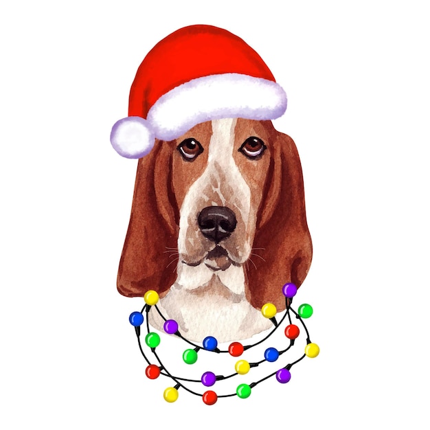 Basset hound Dog with christmas lights in Santa's hat. Cute Christmas puppy illustration.