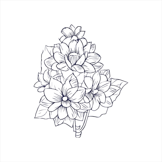 bastard teak flower line art with hand drawn