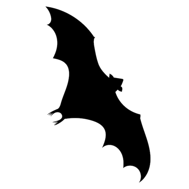 Bat black silhouette isolated vector