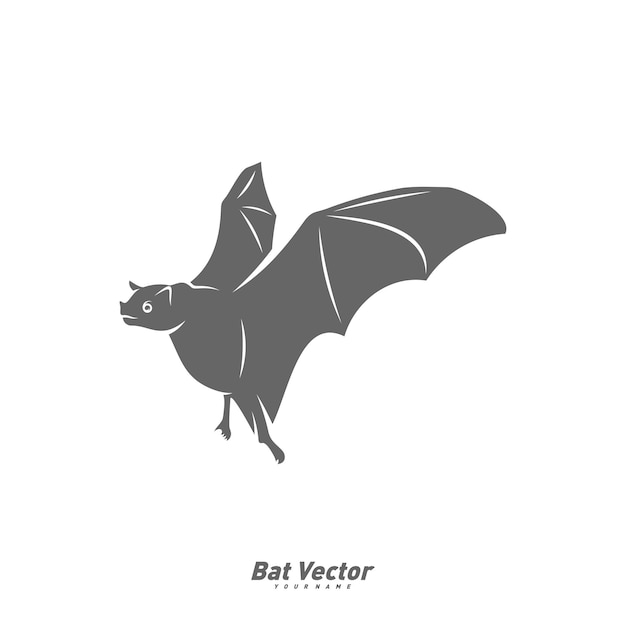 Bat logo vector template Silhouette of bat design illustration