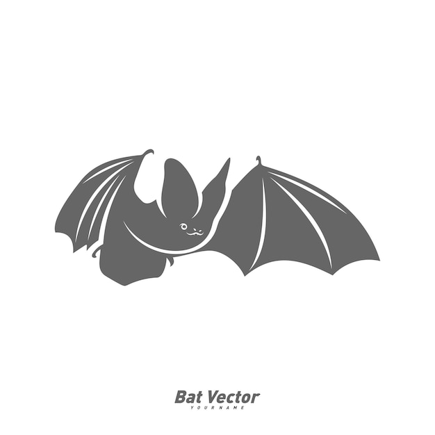 Bat logo vector template Silhouette of bat design illustration