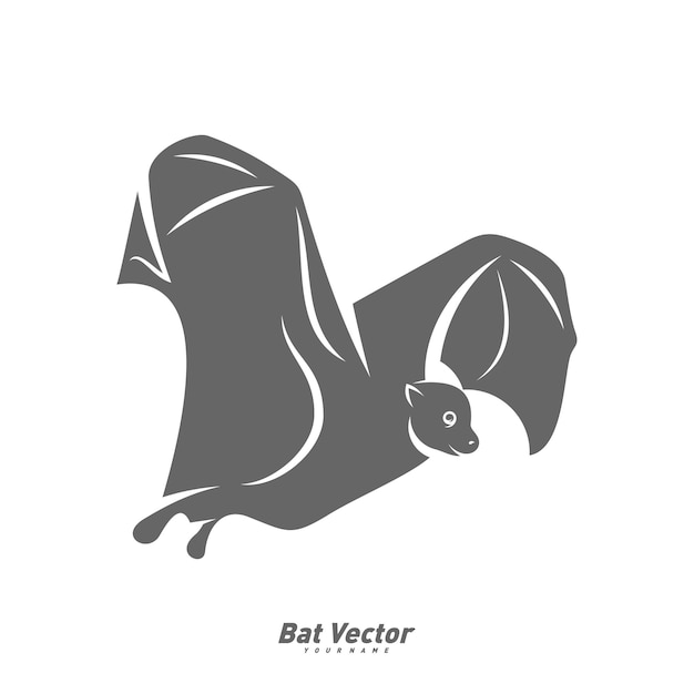 Bat logo vector template Silhouette of bat design illustration