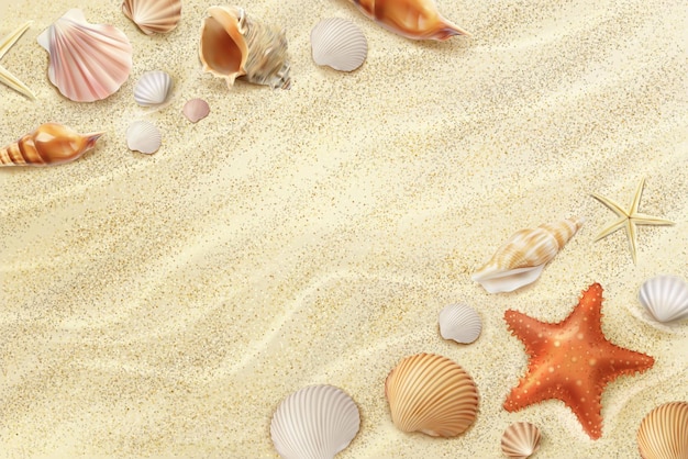 Vector beach top view realistic wallpaper with shells