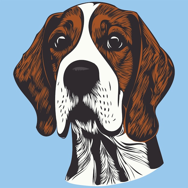 Beagle hand drawn cartoon picture line art vector drawing