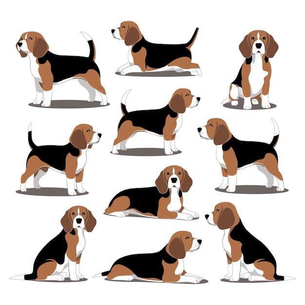 Vector beagle silhouette vector template illustration