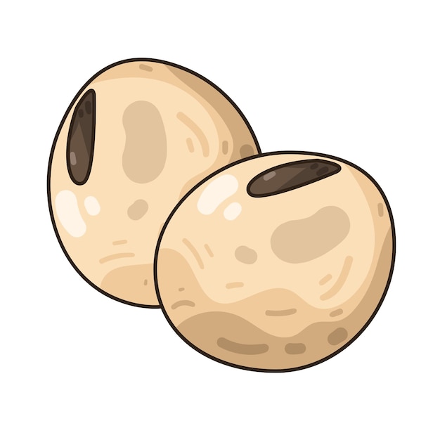 Bean illustration