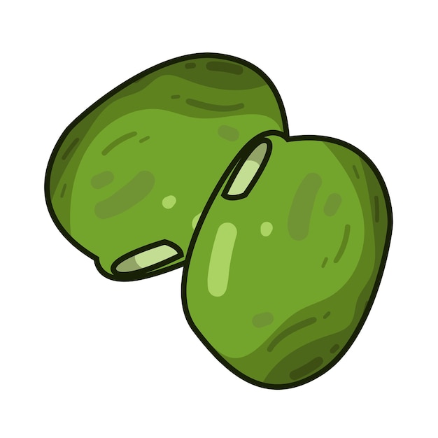 Bean illustration