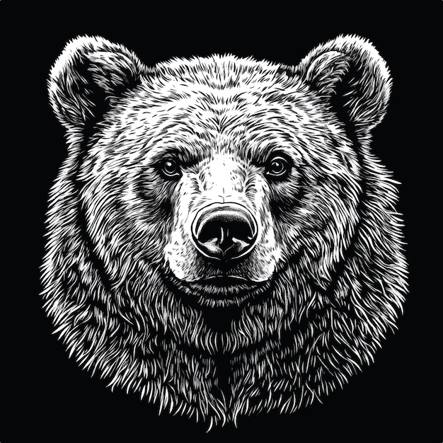 Bear Head Vector Art Style T Shirt Design