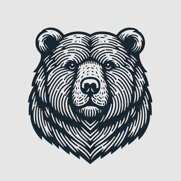 Bear illustration with engraving style