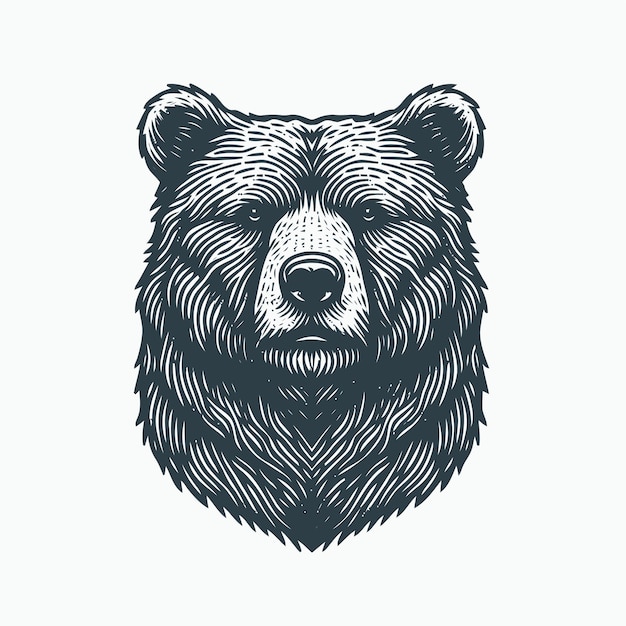 Vector bear illustration with engraving style