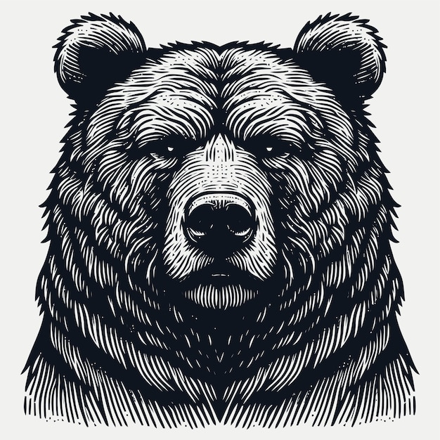 Bear illustration with engraving style