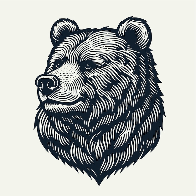 Bear illustration with engraving style