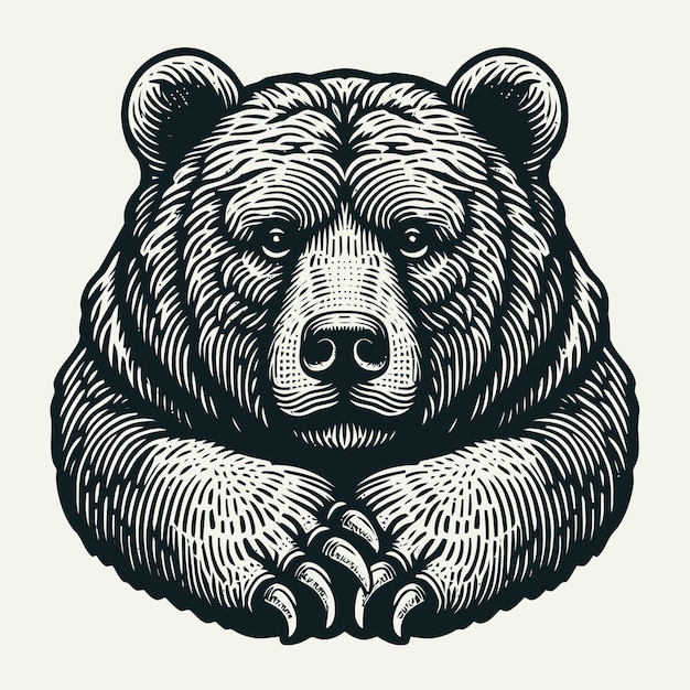 Bear illustration with engraving style