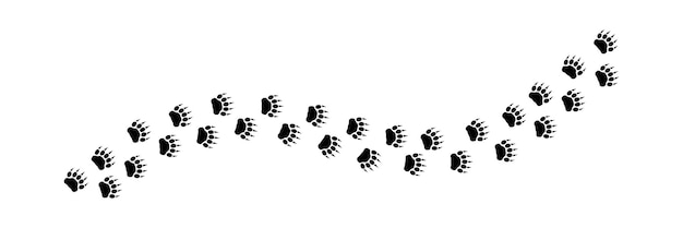 Vector bear paws silhouette print animal paws diagonal track