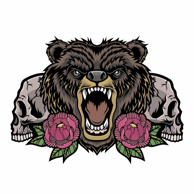 Vector bear and skull illustration isolated on white.