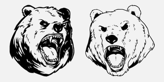 bear and white bear head 