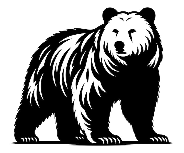 Bear wild animal silhouettes on the white background Grizzly bear polar bear California bear