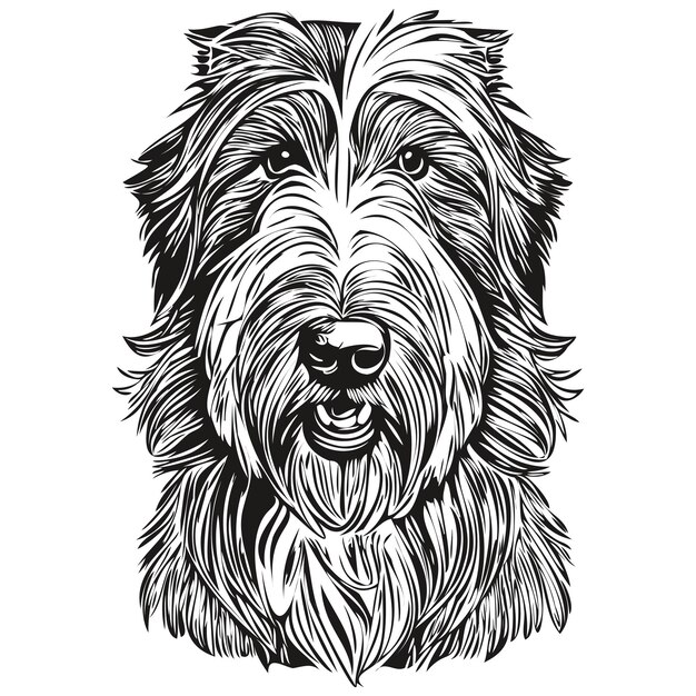 Vector bearded collie dog cartoon face ink portrait black and white sketch drawing tshirt print ready t shirt print