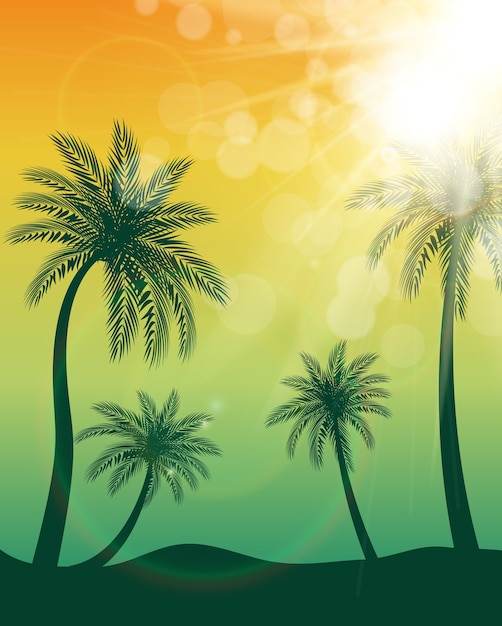 Beautifil Palm Tree Leaf Silhouette Background