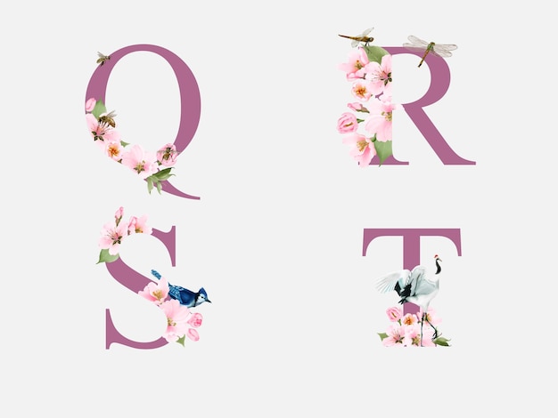 beautiful alphabet  with hand drawn of cherry blossom