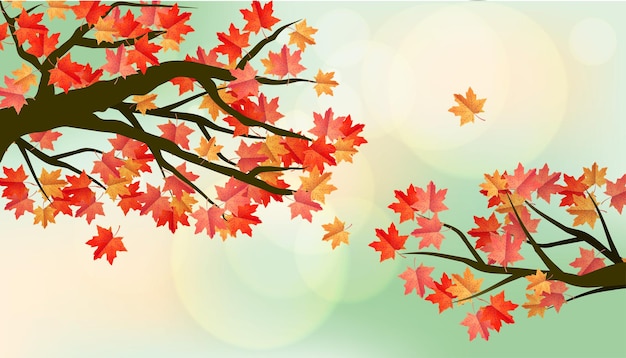 Beautiful autumn red maple background