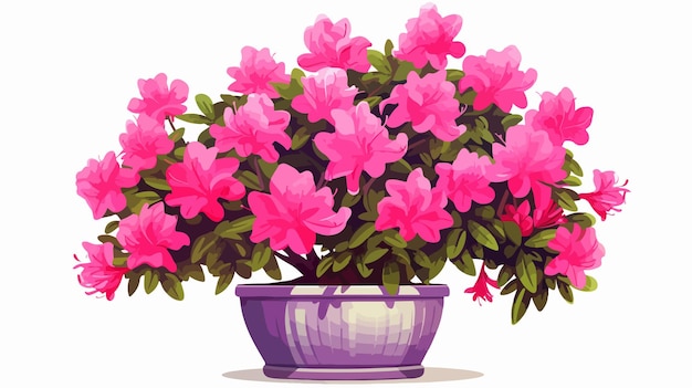 Beautiful Azalea Houseplant with Pink Flowers in Pot Vector Illustration