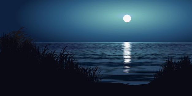 Beautiful beach landscape with full moon Sea night landscape