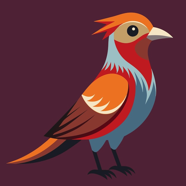 Vector a beautiful bird vector illustration and artwork