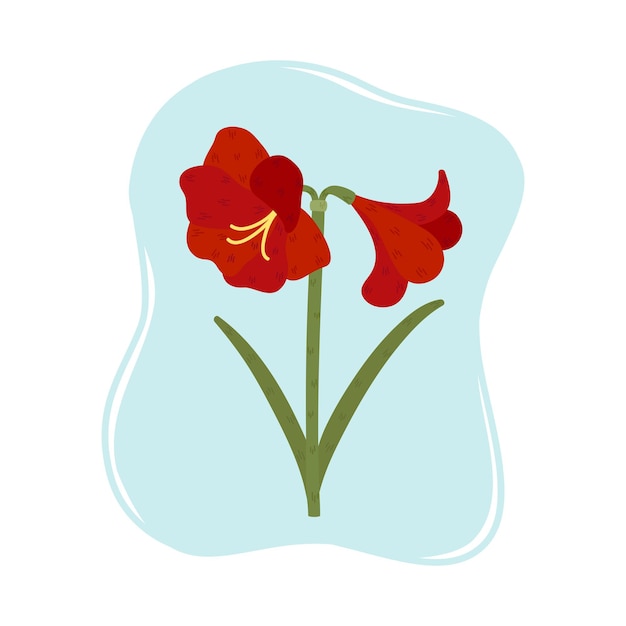 Beautiful blooming amaryllis Exotic red flower vector illustration