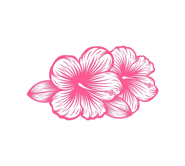 beautiful blooming flower hibiscus vector