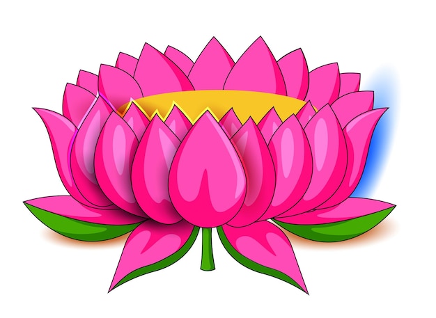 BEAUTIFUL BLOOMING LOTUS FLOWER