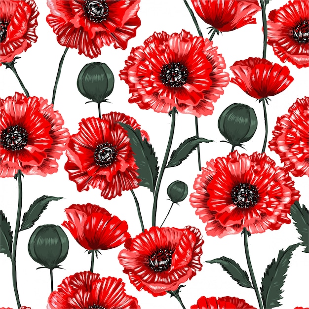 Beautiful blooming red poppy flowers seamless pattern illustration 