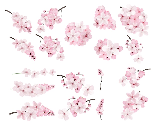 Beautiful blossoming pink sakura flowers on branch Set of realistic flowering cerry branches Vector illustration