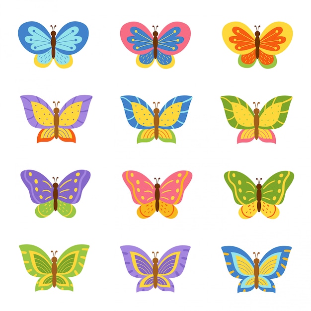 Beautiful and bright collection of different butterflies.