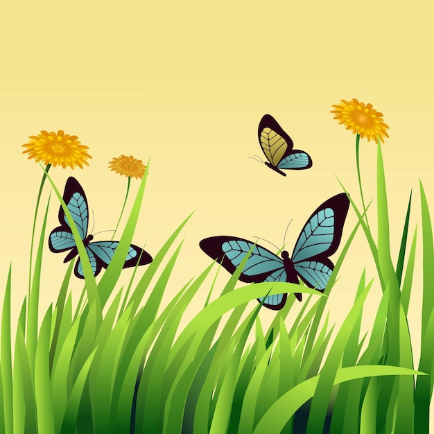 Beautiful Butterflies Flying With Daisies Flowers On Grass or Leaves Background