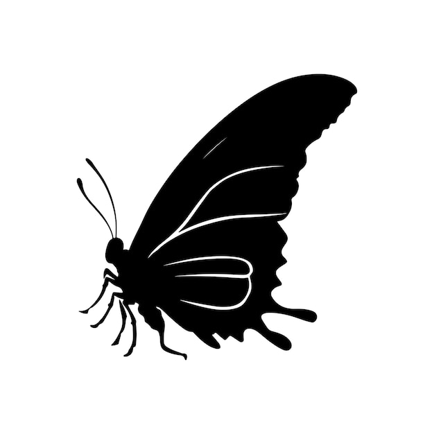 Beautiful butterfly silhouette