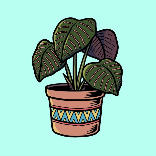 Beautiful calathea illustration