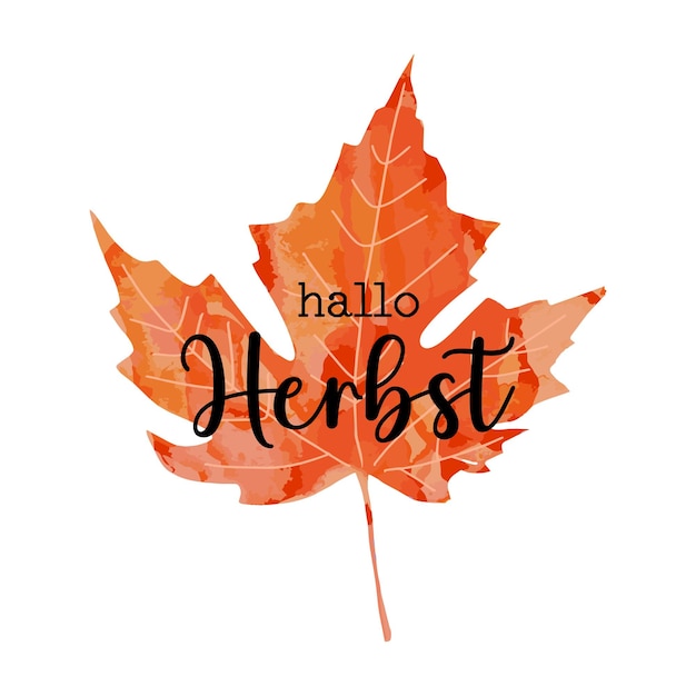 Beautiful calligraphy lettering text Hallo Herbst German translation Hello Autumn Fall Maple leaf