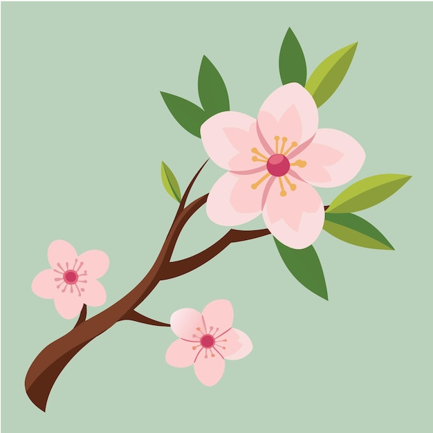 Beautiful Cherry Blossoms Vector