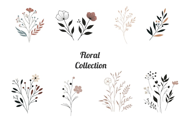 Vector a beautiful collection of botanical floral vector art